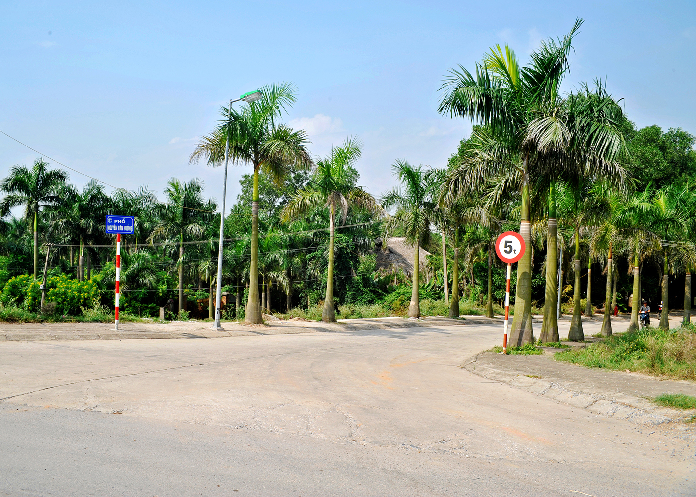 Phố Nguyễn Văn Hưởng tại quận Long Biên