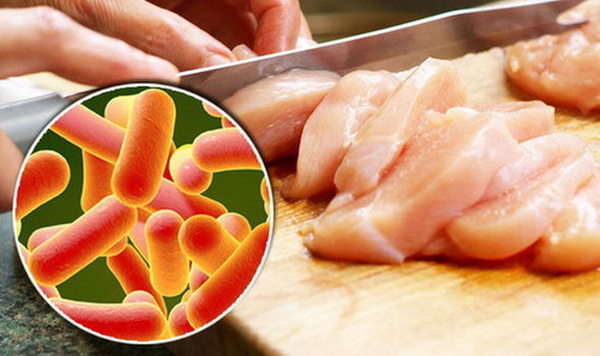 Vi khuẩn Salmonella có thể tồn tại trong nước đá vài tháng và ở nhiều thực phẩm.