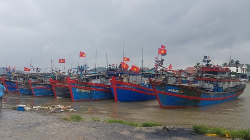 Rất nhiều chủ tàu đã chuyển đổi từ tàu gỗ sang tàu 67.