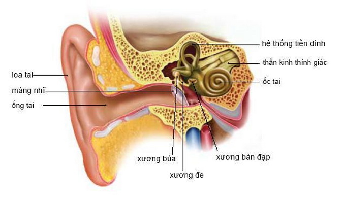 Có nhiều nguyên nhân gây rối loạn tiền đình.