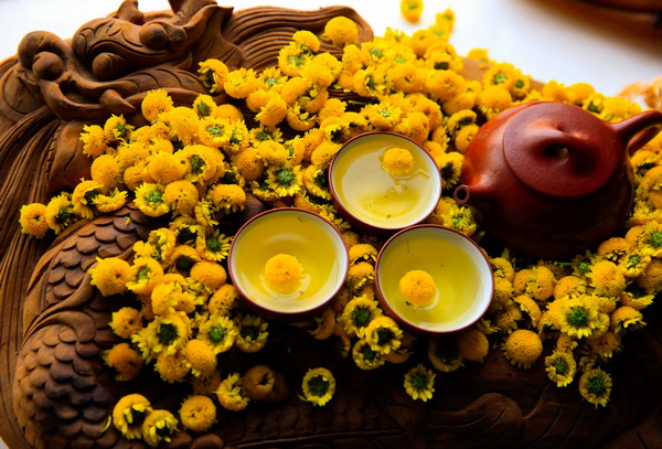 Hoa cúc có thể được sử dụng trực tiếp như trà hoa cúc bởi có tính hàn, thanh mát và hương thơm dễ chịu.