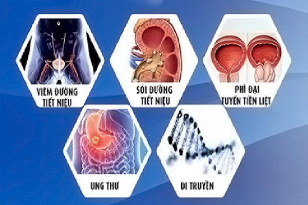 Các nguyên nhân gây tiểu ra máu.