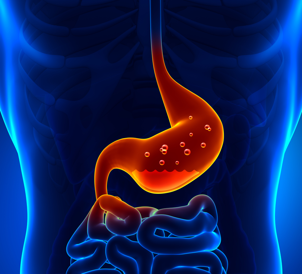 Men tiêu hóa đóng vai trò then chốt trong quá trình tiêu hóa carbohydrate, protein, chất béo và các chất dinh dưỡng khác