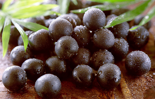 quả acai