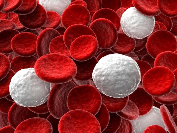 Nồng độ hemoglobin cao có nguy hiểm không?
