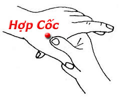 hợp cốc