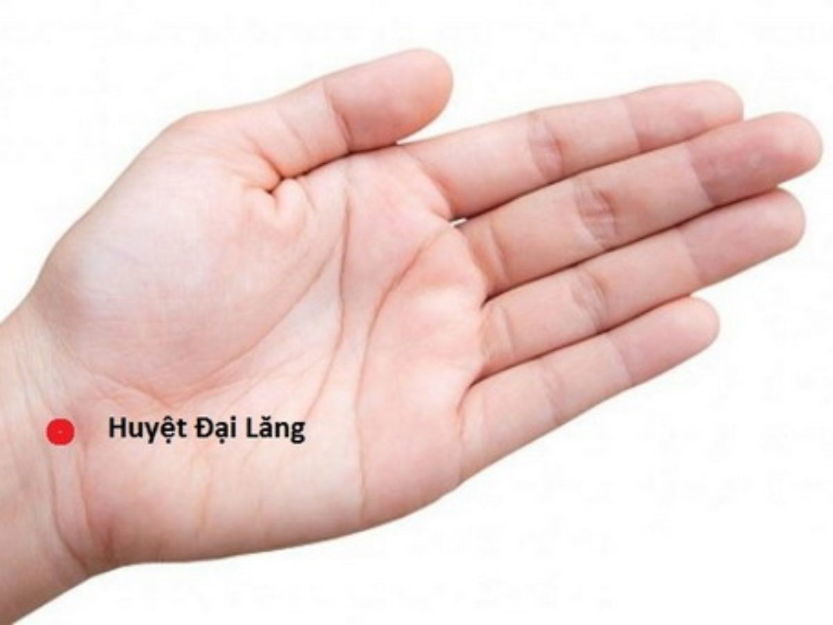 huyet-dai-lang