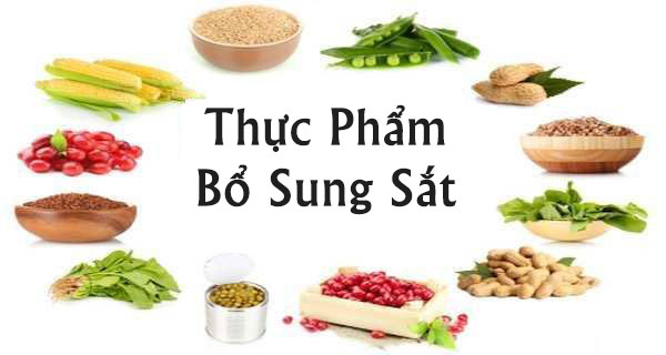 nhung thuc pham giau sat