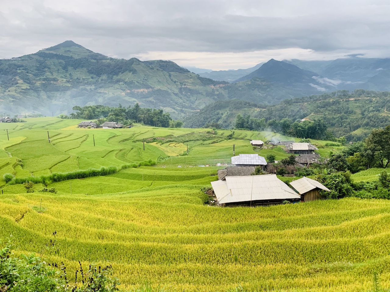 Mê mải mùa vàng ở bờ Tây Hà Giang