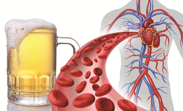 Uống bia hỗ trợ sức khoẻ tim mạch