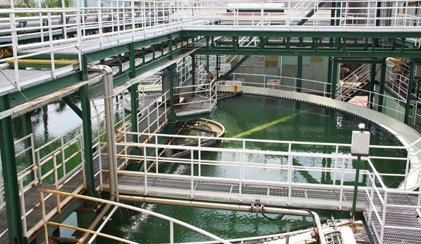 Ajinomoto