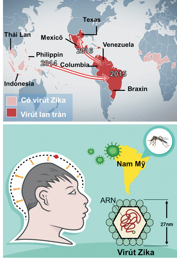 virus