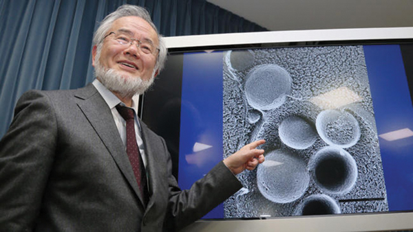 Yoshinori Ohsumi 