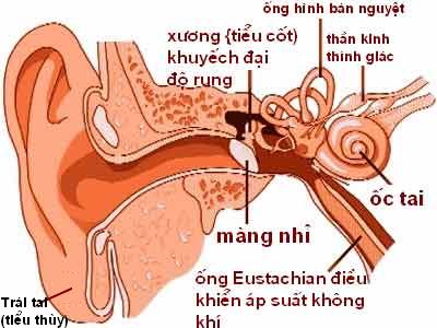 Cần can thiệp sớm điều trị điếc cho trẻ