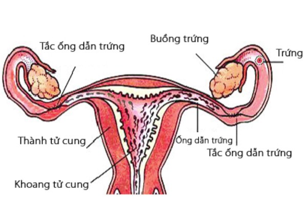 trục trặc phần phụ