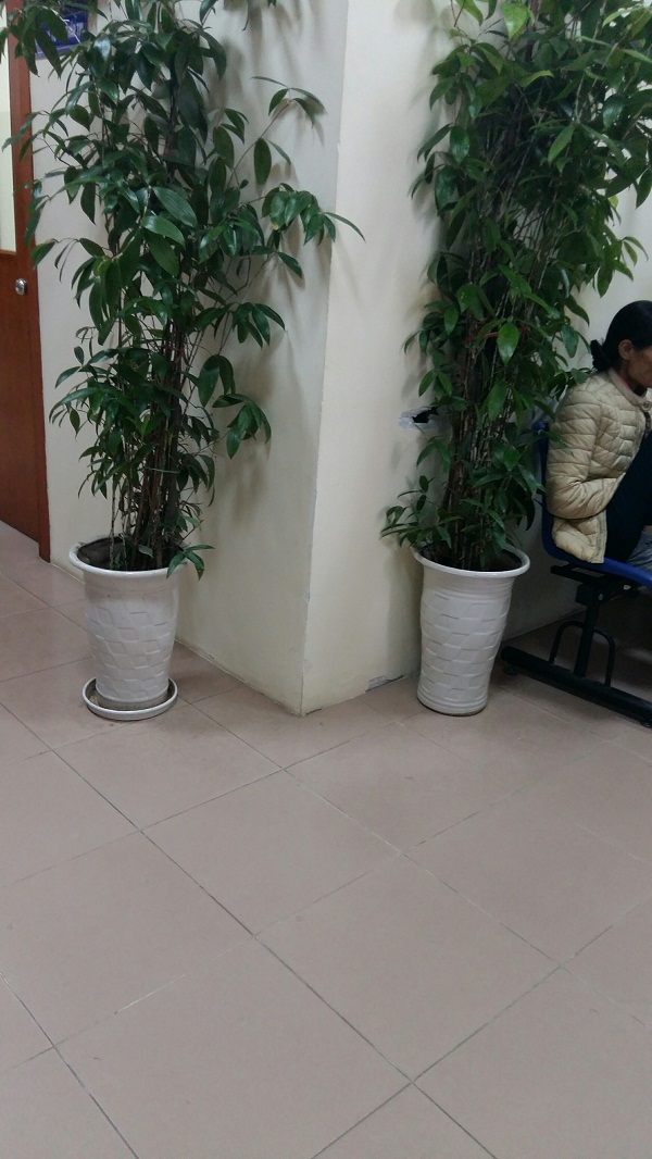 Khám chữa bệnh theo yêu cầu