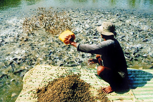 Bắt tạm giam 3 nguyên cán bộ thuộc Tổng cục Thủy sản