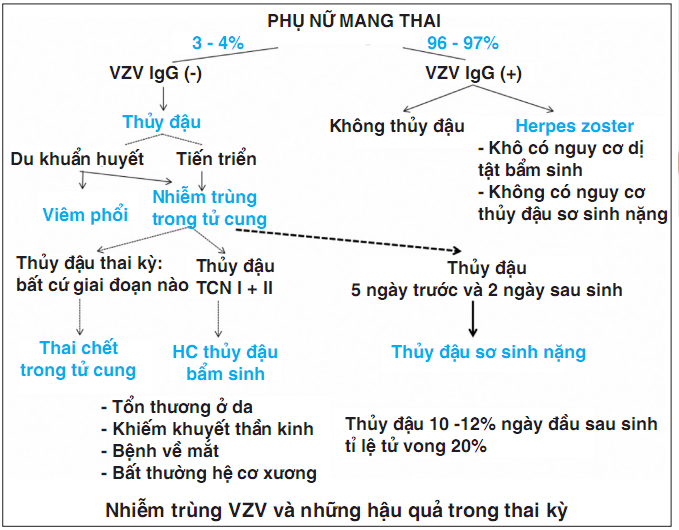 Thủy đậu trong thai kỳ