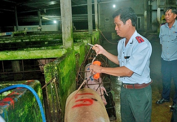 Kế hoạch năm cao điểm hành động VSATTP lĩnh vực nông nghiệp