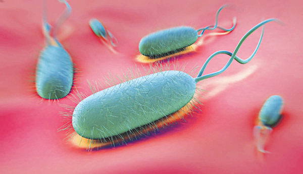 Bệnh dạ dày với helicobacter pylori dương tính