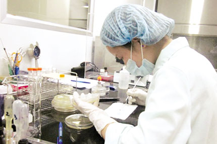 Gene mang virut giúp chuột điếc nghe thấy âm thanh