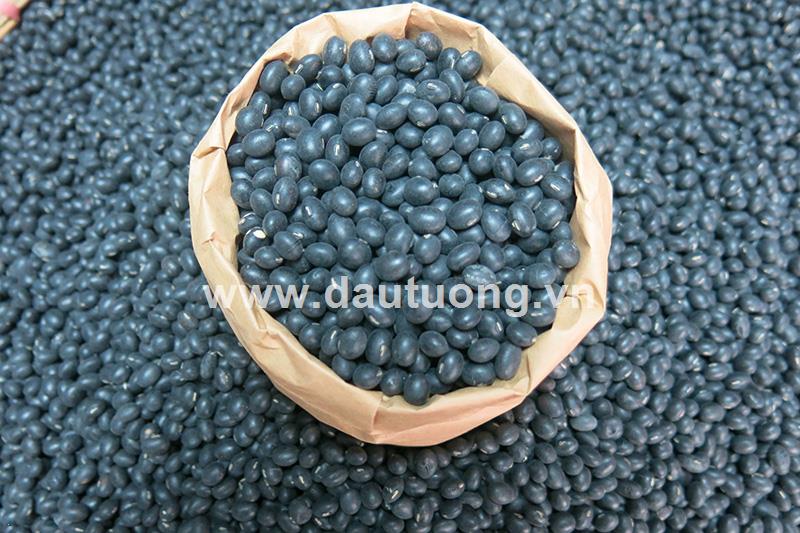 Vì sao đậu là lựa chọn số 1 của người ăn chay?