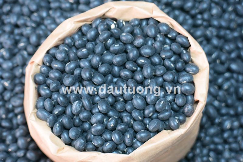 Vì sao đậu là lựa chọn số 1 của người ăn chay?