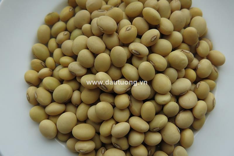 Vì sao đậu là lựa chọn số 1 của người ăn chay?