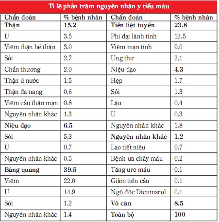 Các nguyên nhân tiểu ra máu