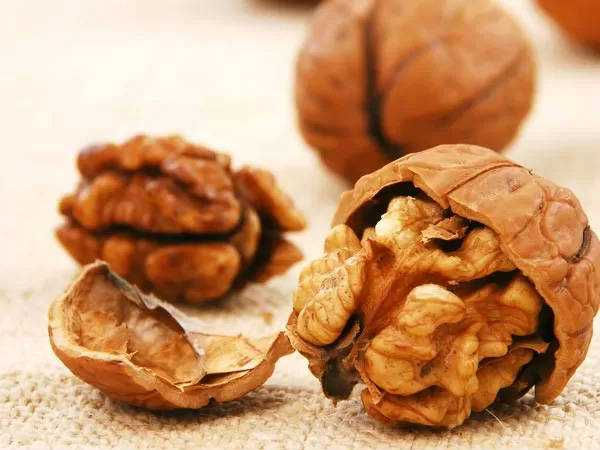 Những lợi ích tuyệt vời của quả óc chó