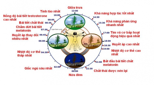 Thời điểm dùng thuốc quan trọng như thế nào?