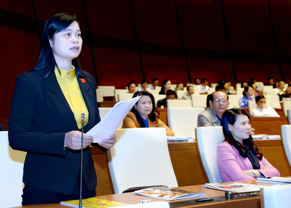 Quốc hội thảo luận KT-XH, ngân sách năm 2016 và thực hiện kế hoạch đầu năm 2017: