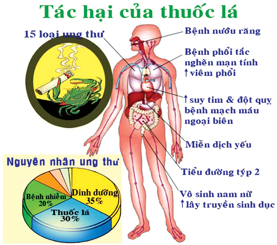 Thực trạng sử dụng thuốc lá tại Việt Nam