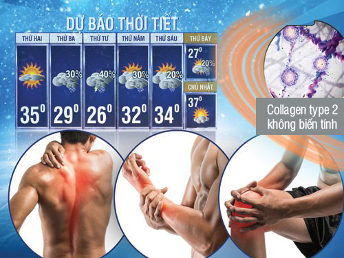 Cẩn trọng trong giảm đau, điều trị bệnh khớp