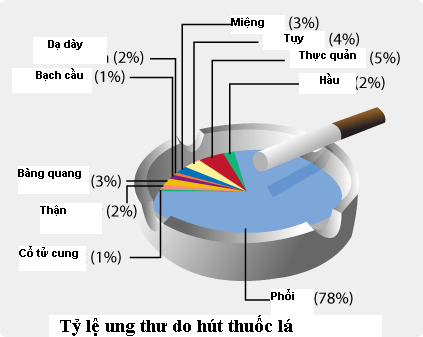 Thuốc lá - Tác nhân hàng đầu gây ung thư phổi