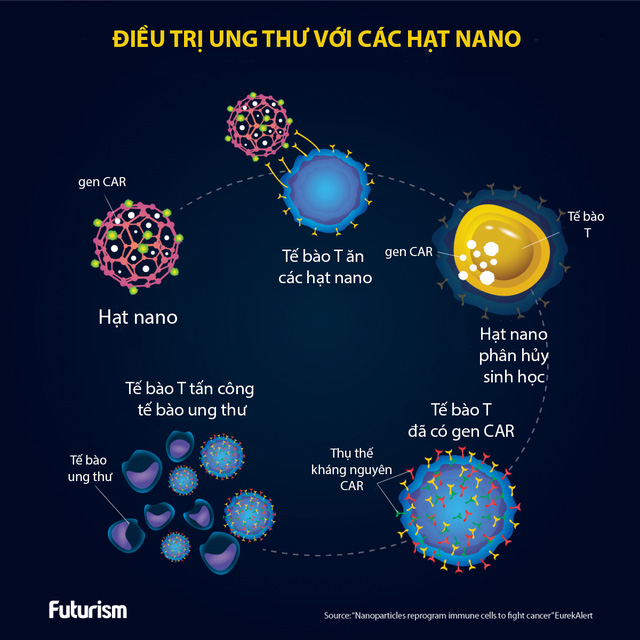 Dùng hạt nano giúp hệ miễn dịch chống ung thư