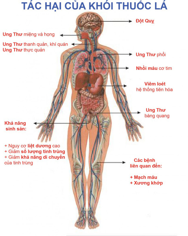 Nguy cơ ung thư khi sử dụng thuốc lá