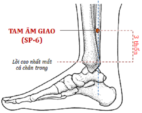 Xoa bóp dưỡng sinh giúp phòng và trị bệnh