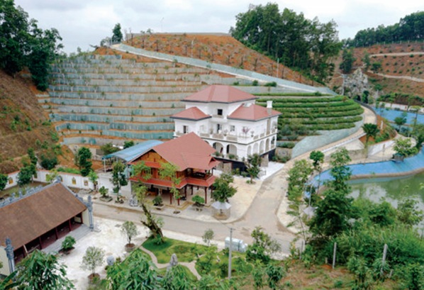 Kháng sinh dùng nửa liều?