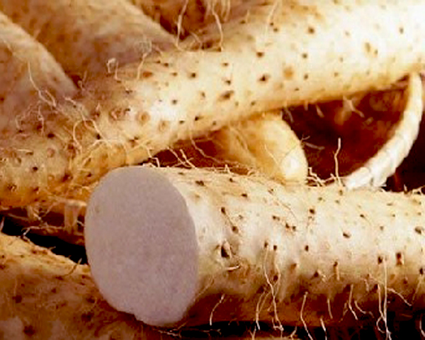 Hoài sơn: Thuốc bổ ngũ tạng