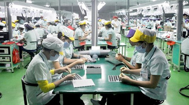 Trốn đóng Bảo hiểm xã hội có thể bị phạt tù lên tới 10 năm