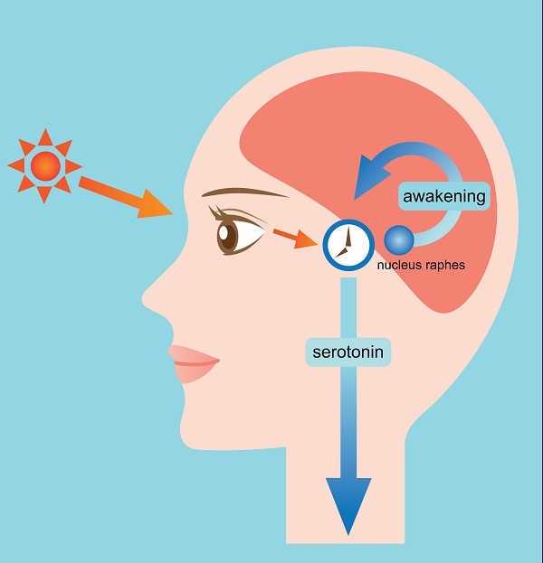 Ngủ được là tiên trên đời