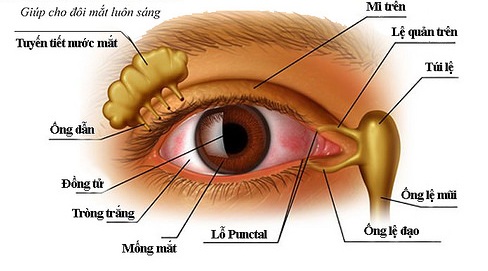 Mắt Có Gỉ Vàng: Nguyên Nhân và Cách Xử Lý