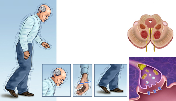 Bệnh tật từ thực phẩm “bẩn”