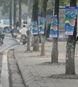 Xâm hại… cây xanh