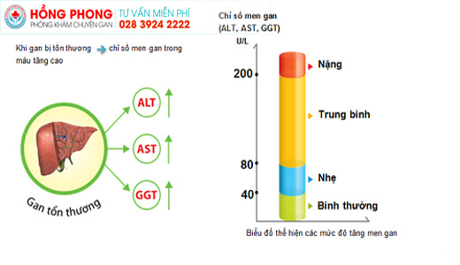 Cẩn trọng khi tăng men gan