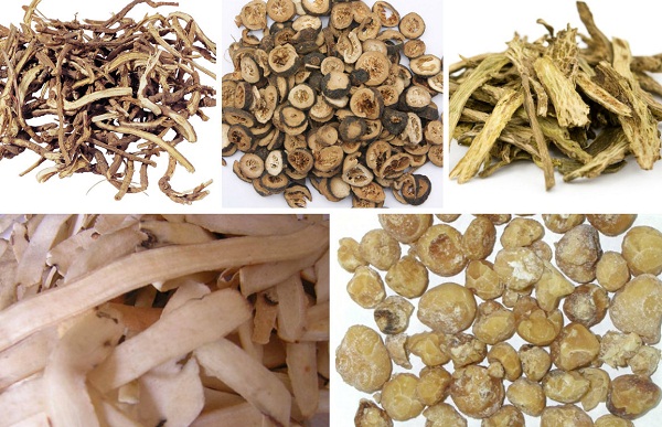 Trị gan nhiễm mỡ bằng y học cổ truyền
