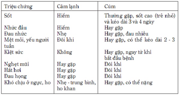 Những thông tin cần biết về cúm H1N1