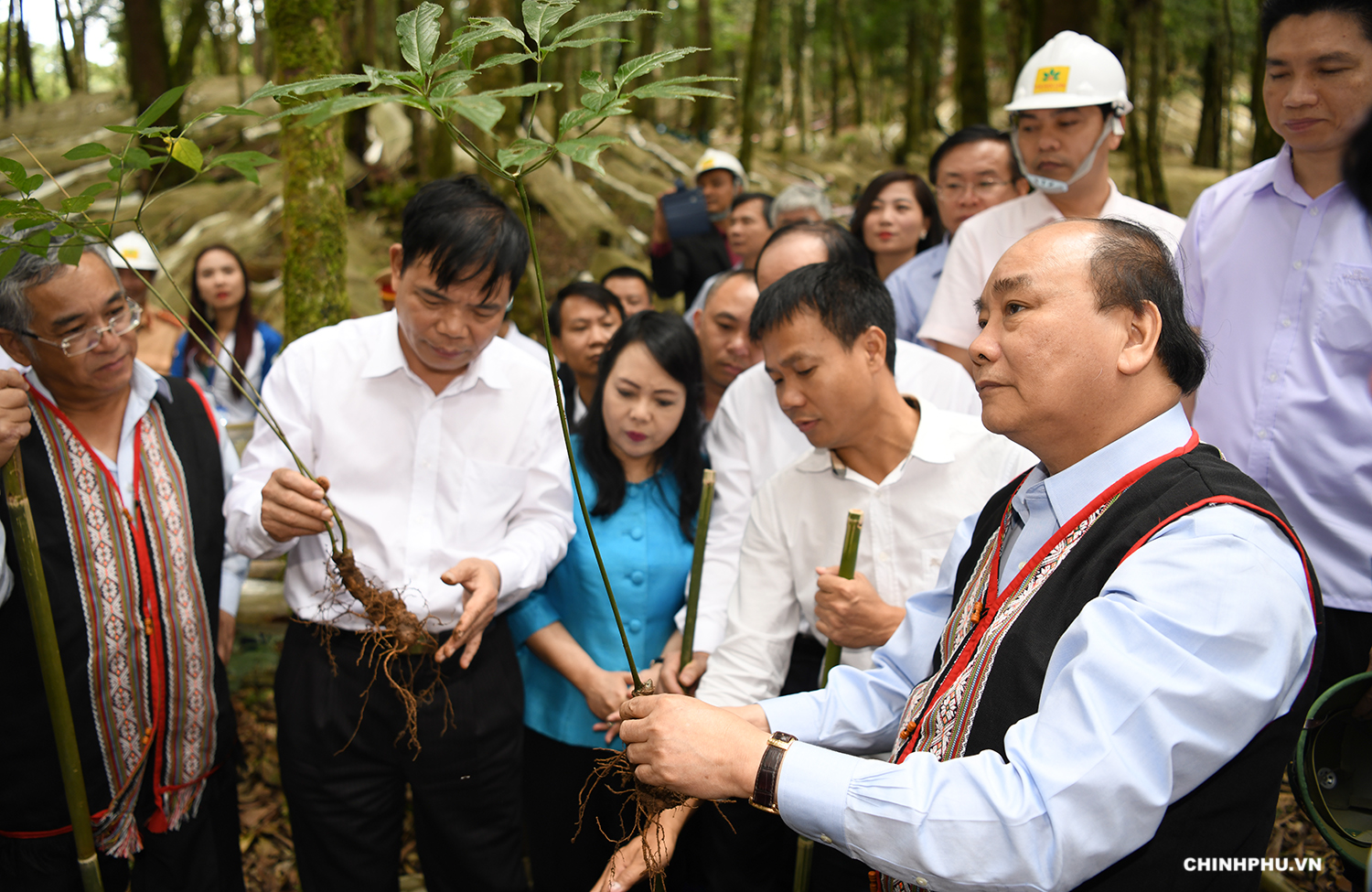 Khánh thành Trung tâm Quốc gia nghiên cứu và phát triển sâm Ngọc Linh