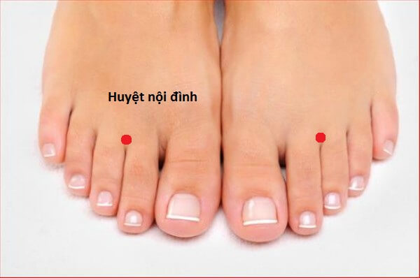 Đông y chữa viêm họng